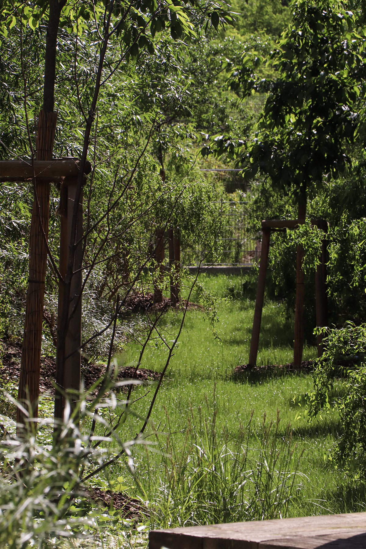 Les jardins de la COOP - ©acte2paysage - photo 15