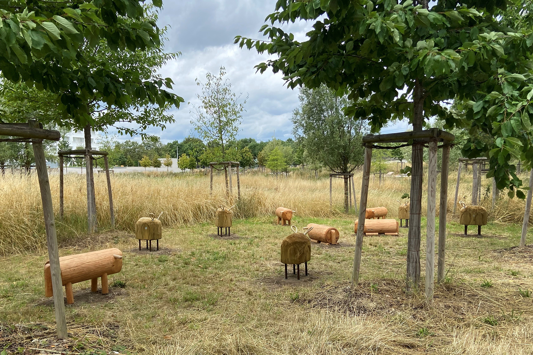03_acte2paysage_illkirch-graffenstaden_prairies du canal