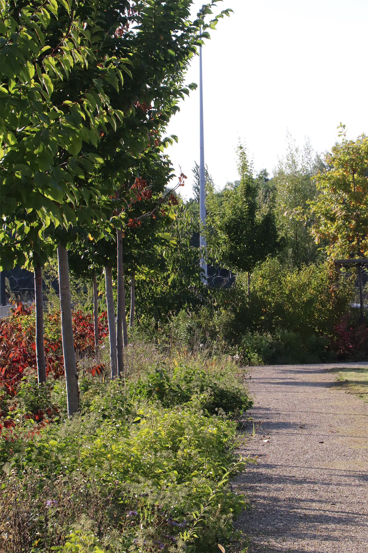 03_acte2paysage_schiltigheim site CADDIE